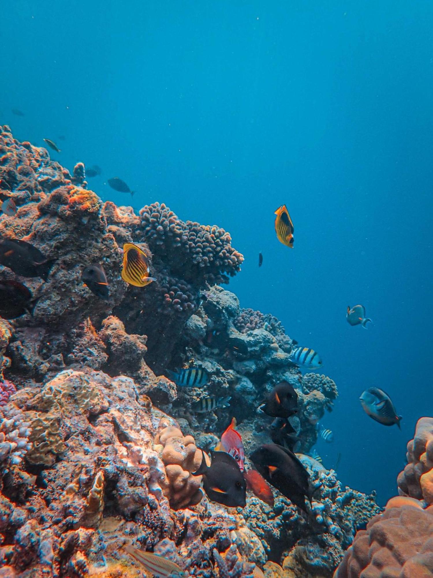 Hotel Americas San Andres Islas Colombia エクステリア 写真